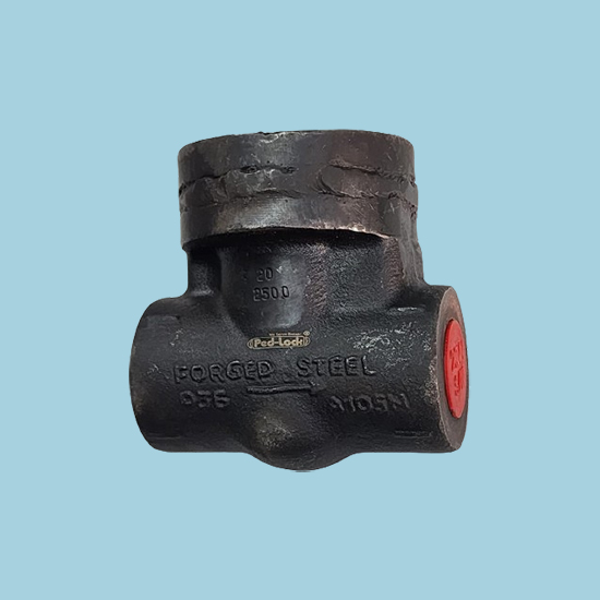 industrial-check-valve-01